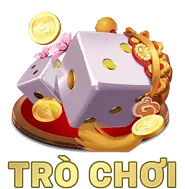 Hình ảnh dịch vụ tư vấn